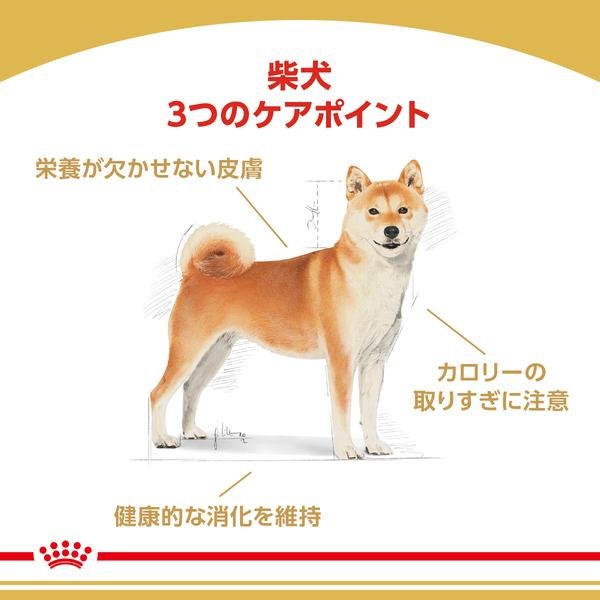 ロイヤルカナン（ROYAL CANIN） 犬 成犬用 柴犬 3kg ドッグフード