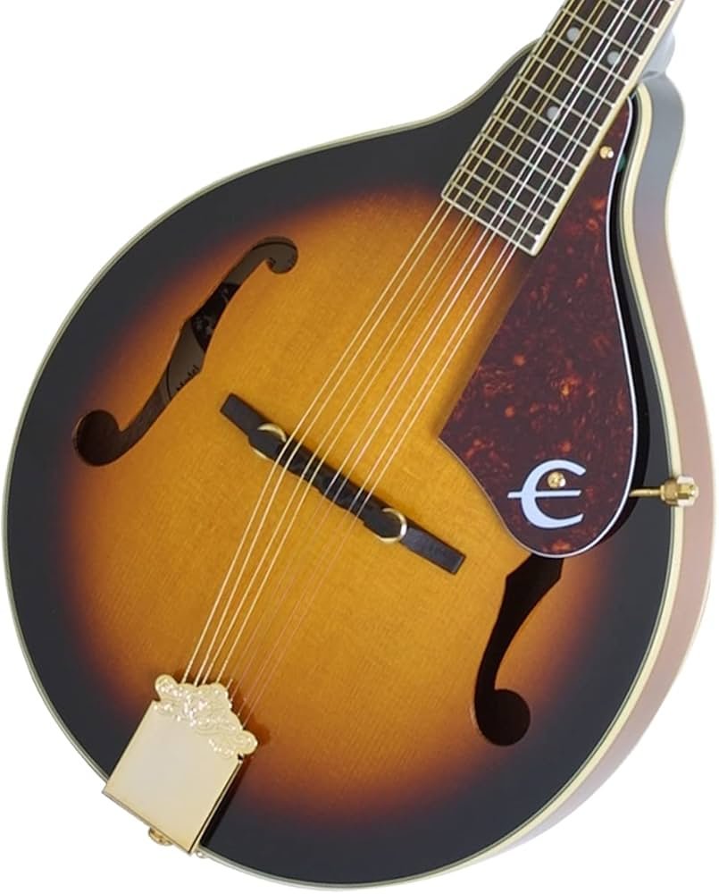 Amazon | EPIPHONE/MM-30S AS （Antique Sunburst） エピフォン