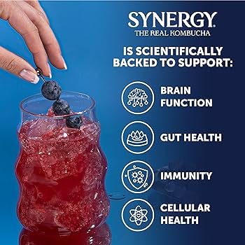 Amazon.com: SYNERGY The Real Kombucha - Gingerberry - 16 fl oz